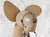 Mid-Century Fan from Elge, France, 1950s For Sale - Image 6 of 11