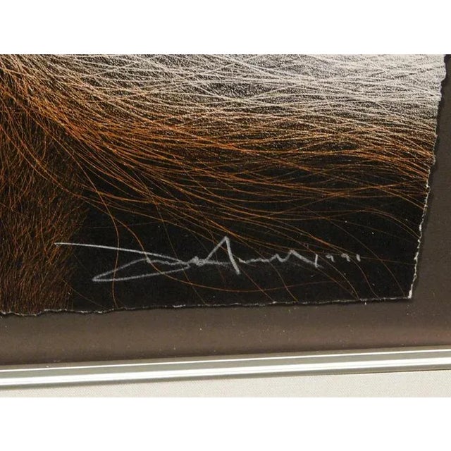 1990s 1990s "Raven Songs" Hand Colored Hand Signed Lithograph by Frank Howell, Framed For Sale - Image 5 of 6