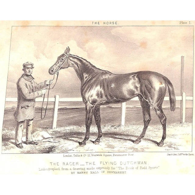 Late 19th Century "The Book of Field Sports and Library of Veterinary Knowledge: Volumes I & Ii" 1870 Miles, Henry Downes [Edited By] For Sale - Image 5 of 18