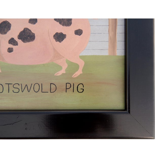 Matt Rix, Naive Style Prize Gloucester Spot Cotswold Pig, Oil on Board, Framed For Sale - Image 7 of 12