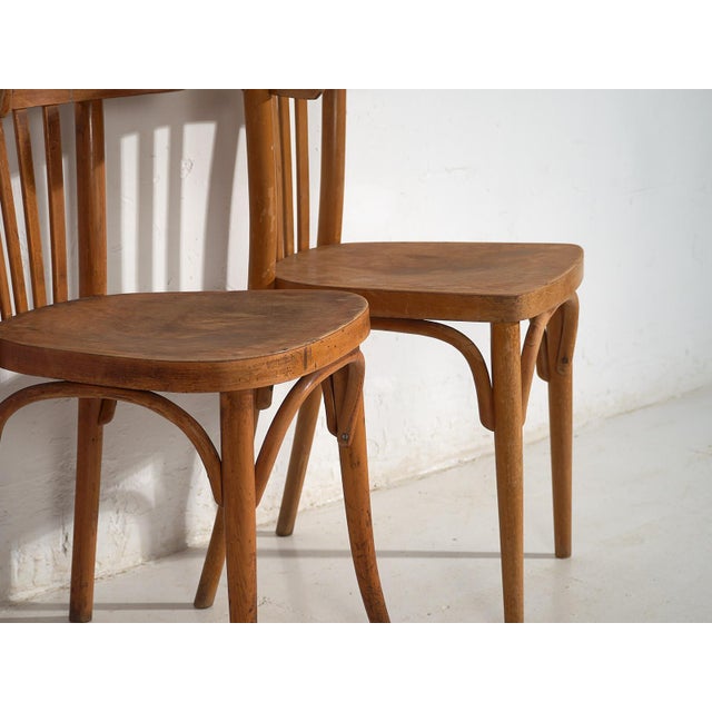 1920s Vintage Bistro Chairs from Thonet, 1920s, Set of 6 For Sale - Image 5 of 15