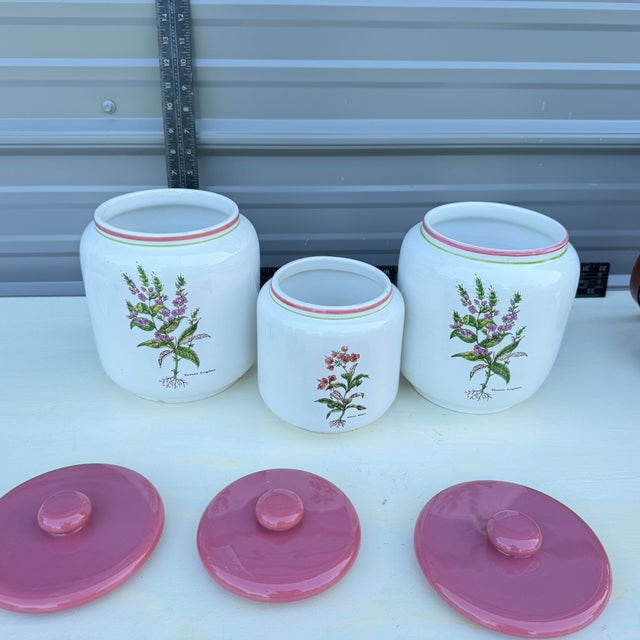 Mid Century Modern Rosenthal Netter Botanical Canisters- Set of 3 For Sale In Columbia, SC - Image 6 of 12