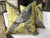 Chartreuse Zoffany Darnley Toile-Tigers Eye Chartreuse and Gray Down Filled Pillows - a Pair For Sale - Image 8 of 8