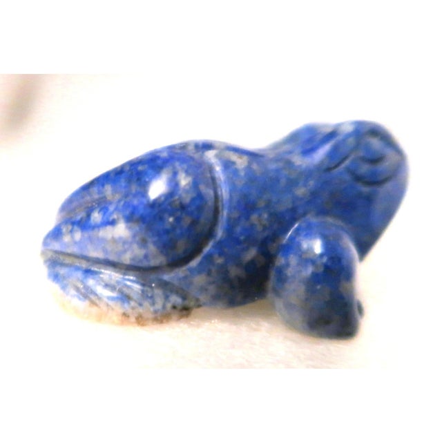 Miniature Well-Carved Frog of Lapiz Lazuli Stone - Frankie the Frog! For Sale In Miami - Image 6 of 17