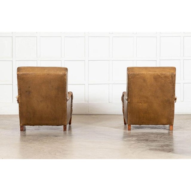 Animal Skin 20th Century English Sprung Leather Armchairs, 1920, Set of 2 For Sale - Image 7 of 11