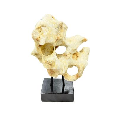 Tribal Indonesian Coral Stone On Teak Stand For Sale - Image 3 of 5