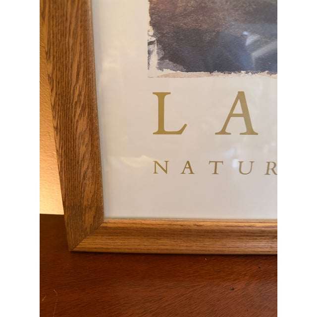 Vintage 1983 Lars Jonsson Avocet Exhibition Poster, Naturhistoriska Riksmuseet Stockholm, Framed in Oak For Sale - Image 9 of 10