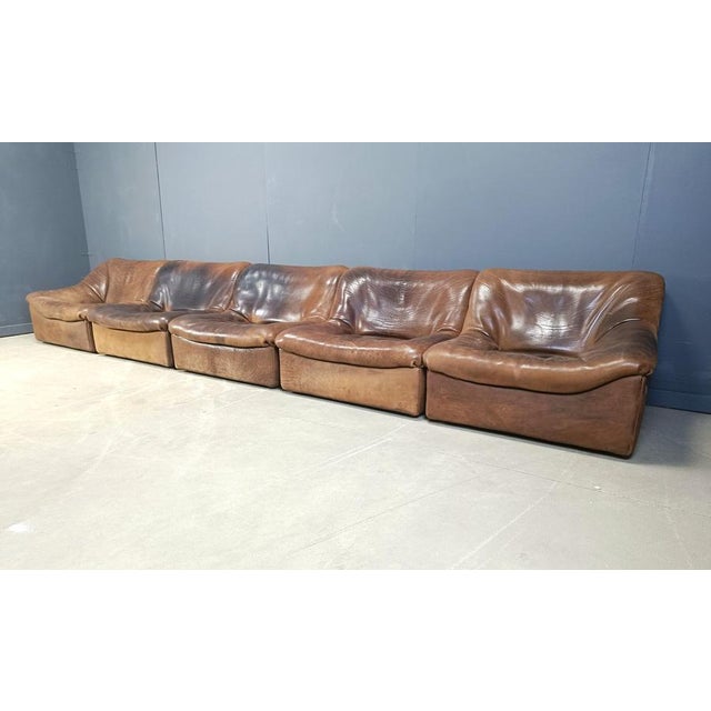 Brown Vintage Bufflao Leather DS46 Modular Sofa from de Sede, 1970s, Set of 5 For Sale - Image 8 of 9