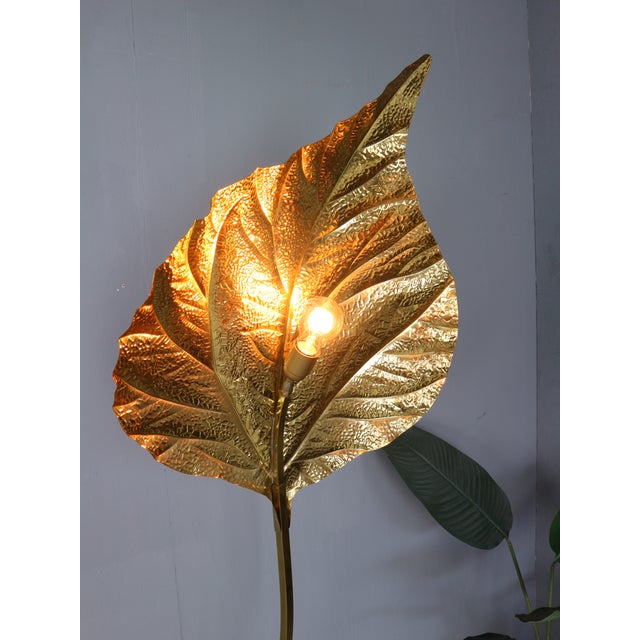 Vintage Rhubarb Floor Lamp by Tommaso Barbi for Bottega Gadda, 1970 For Sale - Image 11 of 15