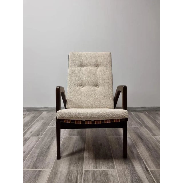 Lounge Chair by Jan Vanek For Sale - Image 11 of 11