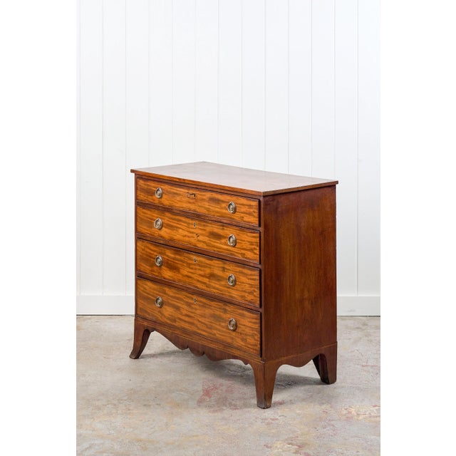 English 19th Century English Mahogany 4-Drawer Chest With Ring Pulls (C. 1880) For Sale - Image 3 of 13