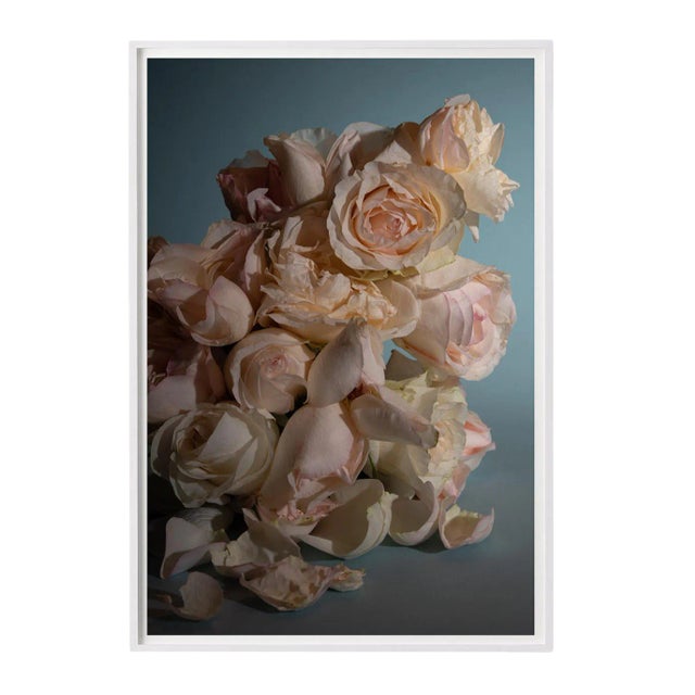 Still Life of Roses Photograph For Sale