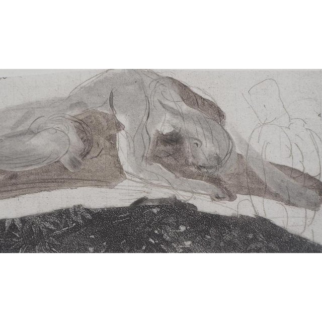 Auguste Rodin (1840-1917) (after) Attached to the rock, 1897 Photogravure reproduced using drypoint (Goupil Workshop) and...