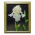 White Iris Still Life Oil Painting on Canvas by Want Johnston, Framed For Sale