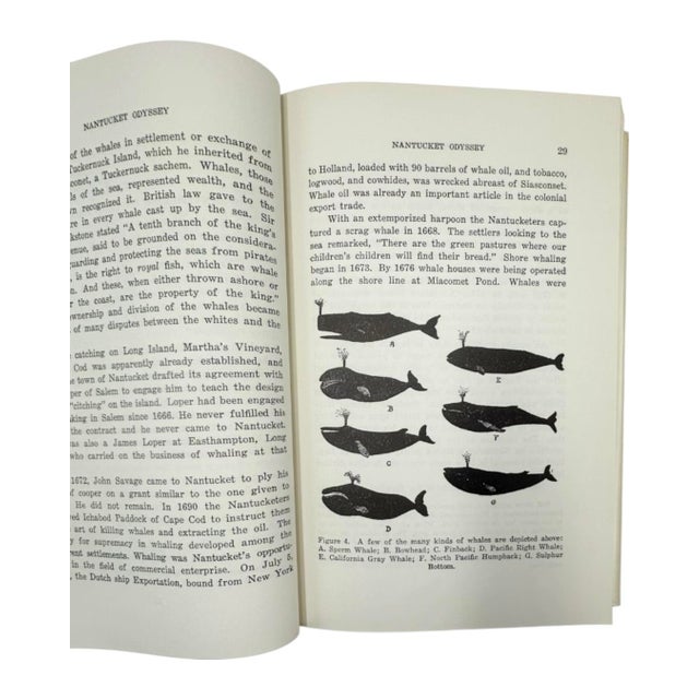 Gray Signed Nantucket Odyssey by Emil F. Guba 1965 Book For Sale - Image 8 of 14