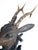 Black Forest wood carved deer head. Real antlers. Old repair to plaque: see photo of plaque back