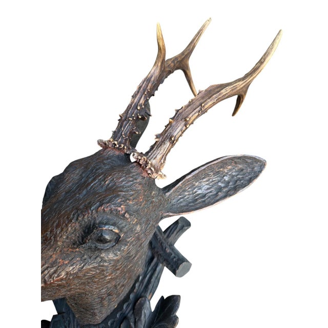 Black Forest wood carved deer head. Real antlers. Old repair to plaque: see photo of plaque back