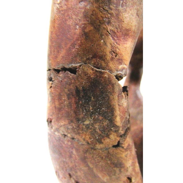 1950s Mid-Century Modern Organic Biomorphic Figurative Burl Wood Carving Sculpture For Sale - Image 18 of 18