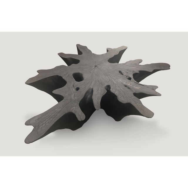 Wood Andrianna Shamaris Organic Charred Teak Wood Coffee Table For Sale - Image 7 of 18