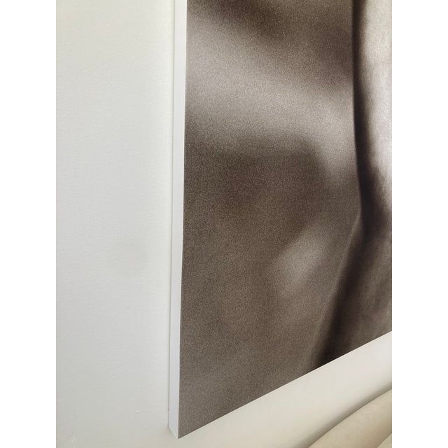 William Gray Harris Photograph on Canvas “ Aphrodite's Golden Apple" For Sale In Los Angeles - Image 6 of 12