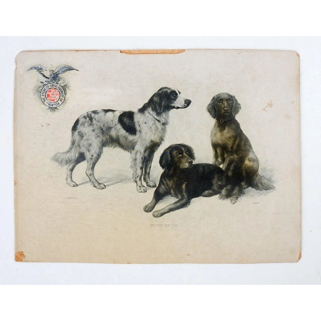 Antique advertising trade card lithograph on card stock with dogs. The American Cedit-Indemnity Co., New York. Three dogs...