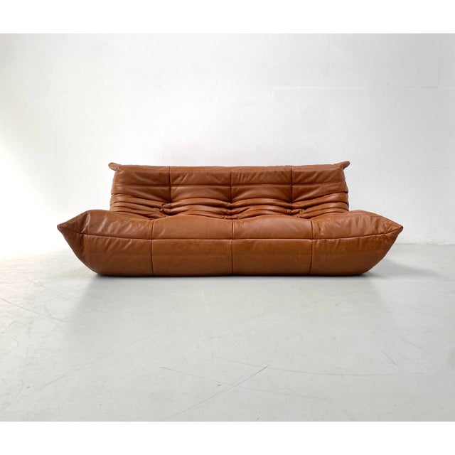 Animal Skin French Togo T3-Seater Sofa in Cognac Leather by Michel Ducaroy for Ligne Roset For Sale - Image 7 of 14
