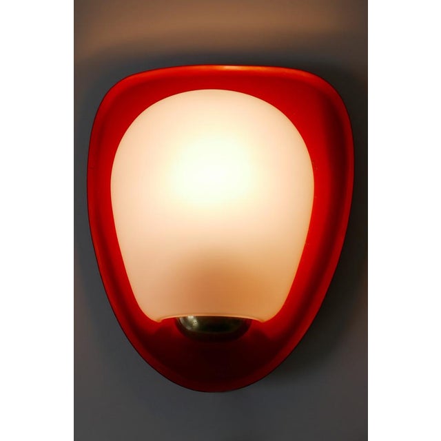 Mid-Century Modern Sconce Shell by Wilhelm Wagenfeld for Peill & Putzler, 1950s For Sale - Image 6 of 18