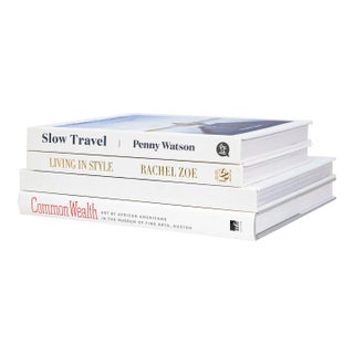 Decorative Books - Snowfall Coffee Table Stack - 4 White Books For Sale