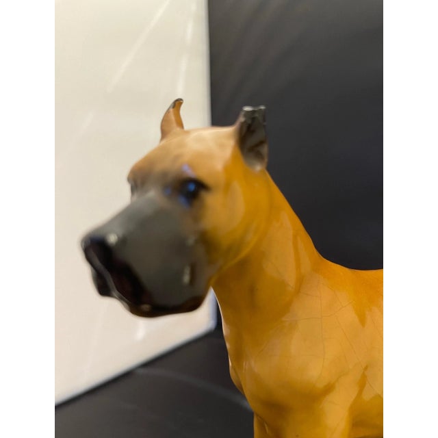 English English Porcelain Figure of a Great Dane Dog, Early 20th Century For Sale - Image 3 of 8
