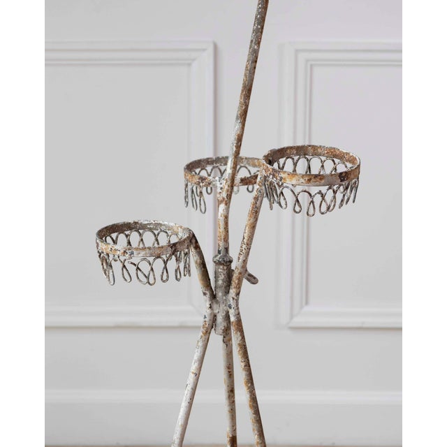 Mid 20th Century Charming French Birdcage Plant Stand with Original Paint For Sale - Image 9 of 15