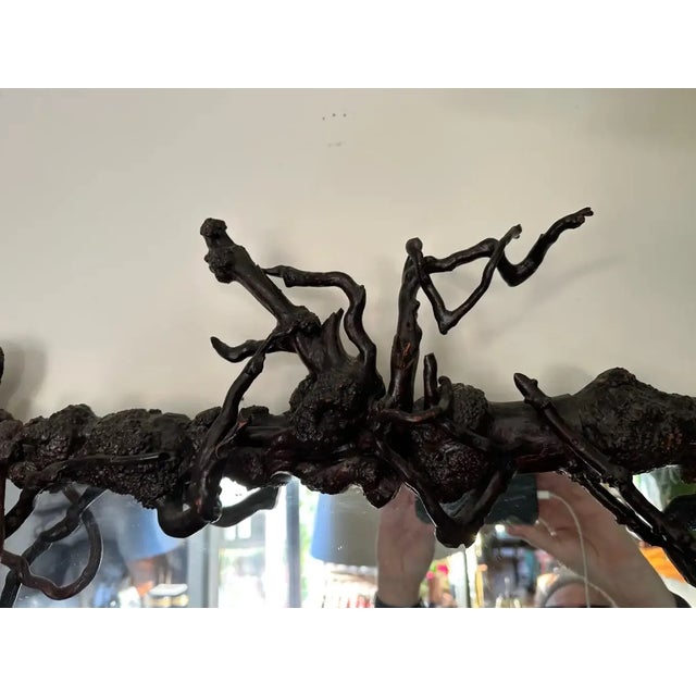 Chinese Early 20th Century Chinese Root Wood Framed Mirror For Sale - Image 3 of 10