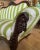 1910s 1910s Victorian Settee Reupholstered in Green and White Italian Sunbrella For Sale - Image 5 of 6
