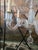 Vintage Mid Century Modern Murano Style Venetian Chandelier For Sale - Image 4 of 12