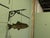 1960s Fish Trade Sign, 1960 For Sale - Image 5 of 8