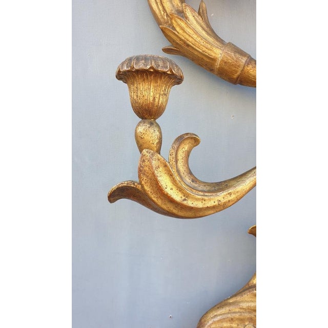 Large 19th Century Sculpted Gilded Wood Wall Light, Tuscany, Italy For Sale - Image 10 of 14