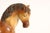 Sculpture Materials Vintage Painted Chalkware Horse Sculpture / Figurine For Sale - Image 7 of 18