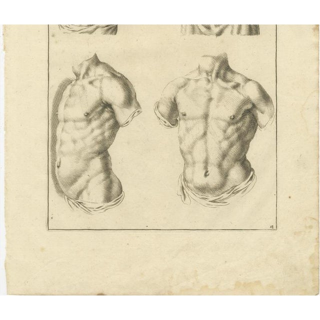 After De Lairesse, Male Torso Studies, 1745, Paper For Sale - Image 3 of 10