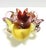 Red Large Polychrome Murano Glass Ashtray attributed to Toso, Italy, 1960s For Sale - Image 8 of 16