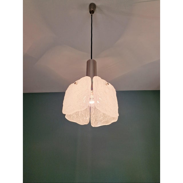 Frosted Glass Pendant Light by J. T. Kalmar for Kalmar Franken KG, 1970 For Sale - Image 6 of 16