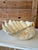 Shell Organic Modern Coastal Clam Shell Vessel For Sale - Image 7 of 12