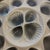 Mid-Century Modern Vintage French Majolica Oyster Plate by Moulin Des Loups For Sale - Image 3 of 4