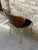 Mid Century Modern Chair, Leather Chrome and Walnut, in the Style of Cherner For Sale - Image 15 of 17