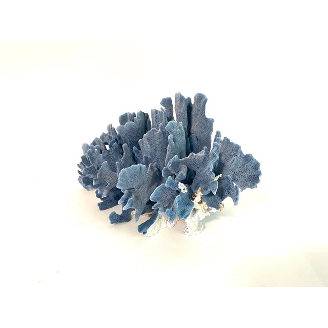Chinoiserie Natural Blue Coral Specimen For Sale - Image 3 of 7