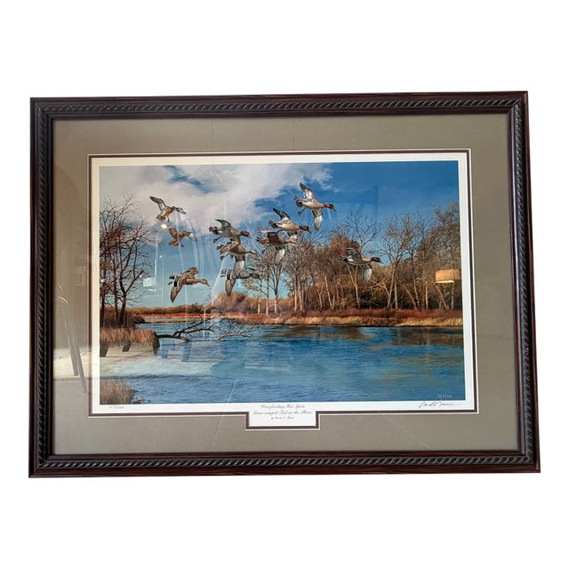 Signed David Maas 1986 Limited Edition "Green-Winged Teal on the Platte" Matted & Framed 34.5"x26.5" for Ducks Unlimited For Sale