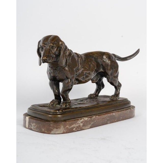 Sculpture of Basset Hound in Patinated Bronze by Antoine-Louis Barye For Sale - Image 4 of 10