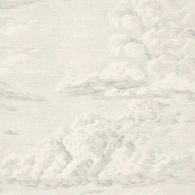 Sample- Schumacher Cloud Toile Fabric in Delft For Sale