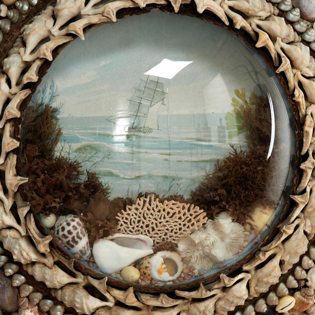 Victorian Antique British Colonial Sailors Valentine With Seashells For Sale - Image 3 of 8