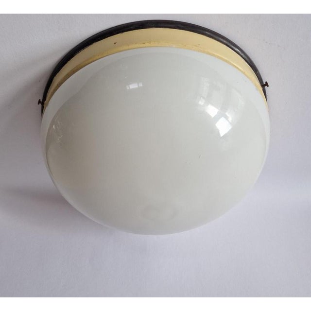 1950s Mid-Century Ceiling Lamps, 1950s For Sale - Image 5 of 18