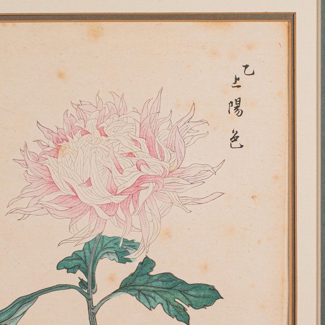 Beige 2 Vintage Botanical Pictures, Japanese, Woodblock Print, After Hasegawa, Art For Sale - Image 8 of 10