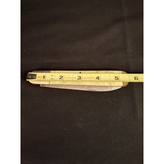 Rare Antique 1920s Judaica Folding Challah Knife Shabbat Kodesh Celluloid Czech For Sale - Image 16 of 17